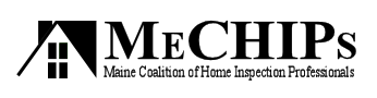 MeCHIPs Logo